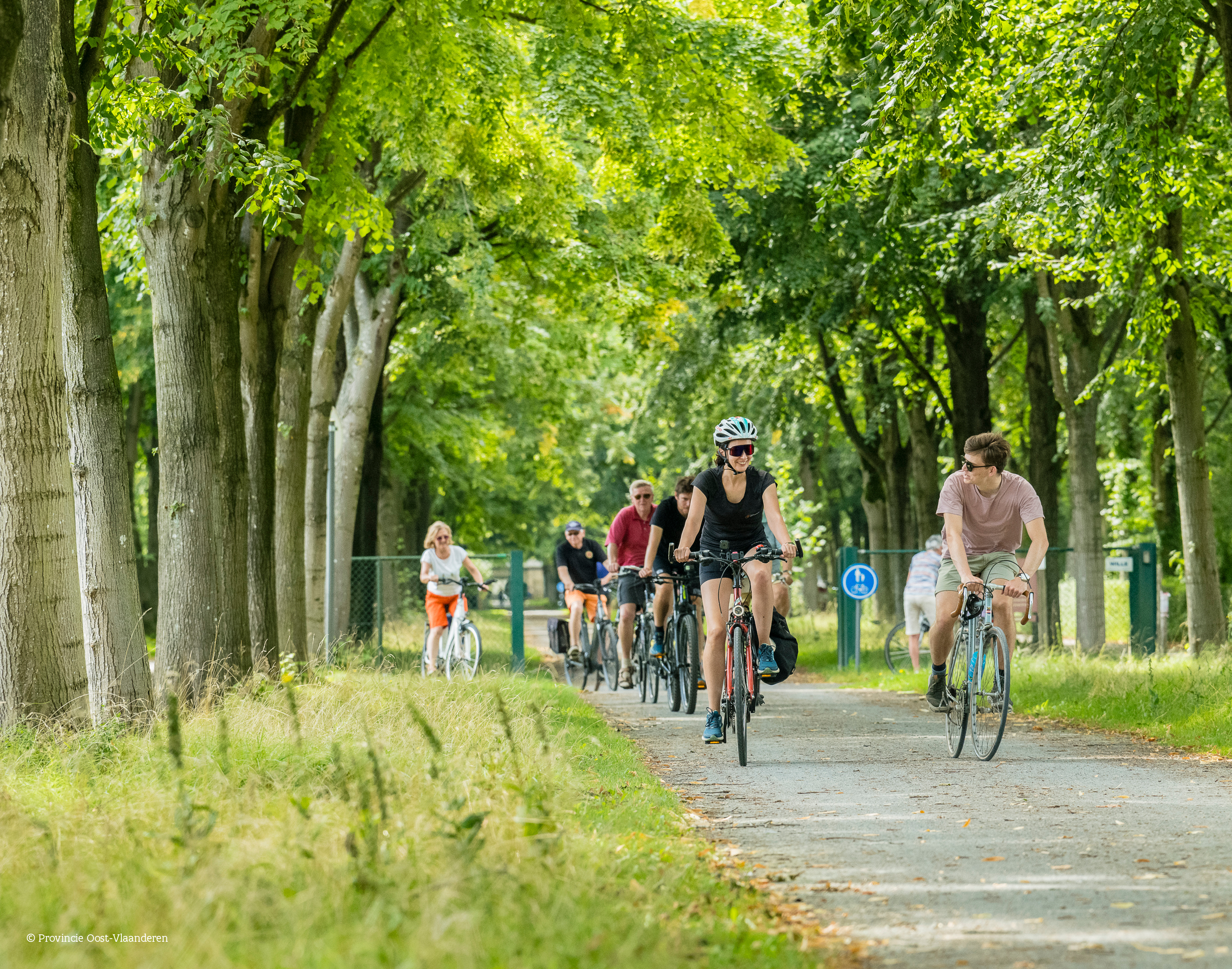 Mensen op de fiets op een pad in het bos